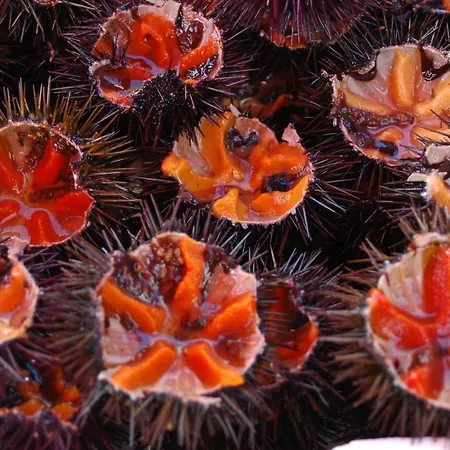 Casa Vacanze Della Giudecca * Gallipoli