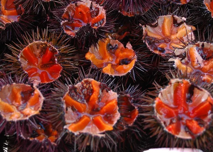 Casa Vacanze Della Giudecca * ガリポリ