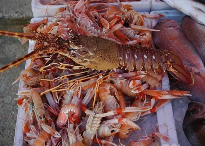 Casa Vacanze Della Giudecca 別荘 ガリポリ