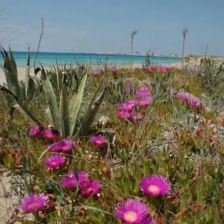Casa Vacanze Della Giudecca *