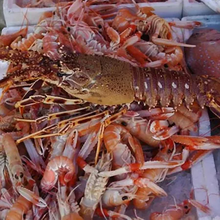 Casa Vacanze Della Giudecca Hébergement de vacances Gallipoli