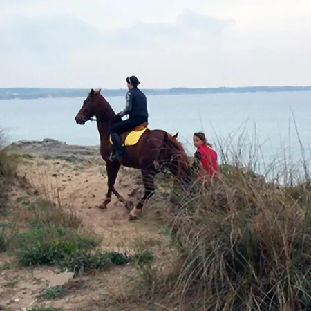 Casa Vacanze Della Giudecca Semesterbostad